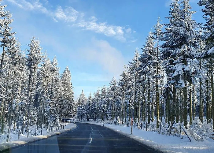 Apartamento Haus Schneider *