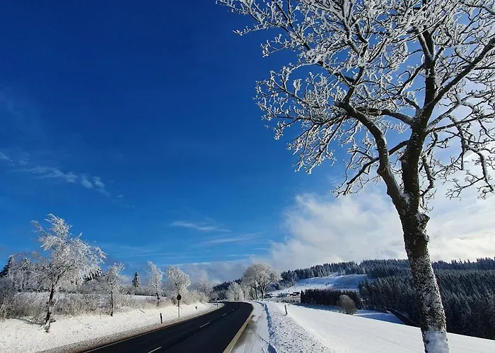 Haus Schneider Appartement